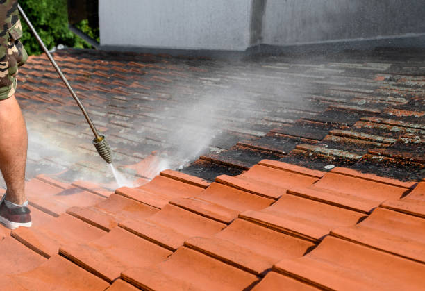 Best Exterior Home Cleaning  in Center Moriches, NY